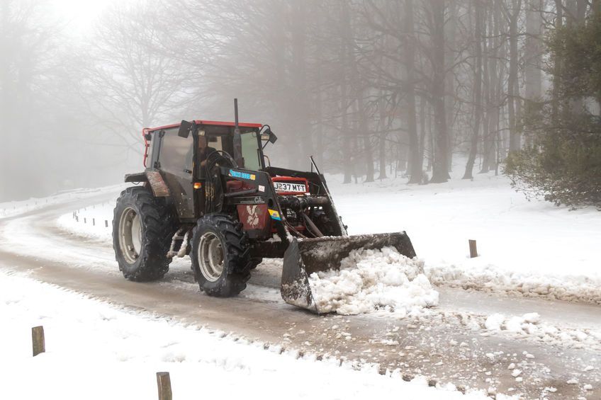 The snow and weeks of rain followed by the heatwave left many farmers playing 'catch-up'