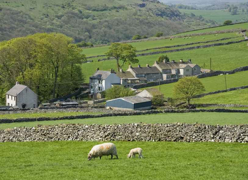 The initiative is available for 2,000 farm businesses who keep sheep and suckler cows