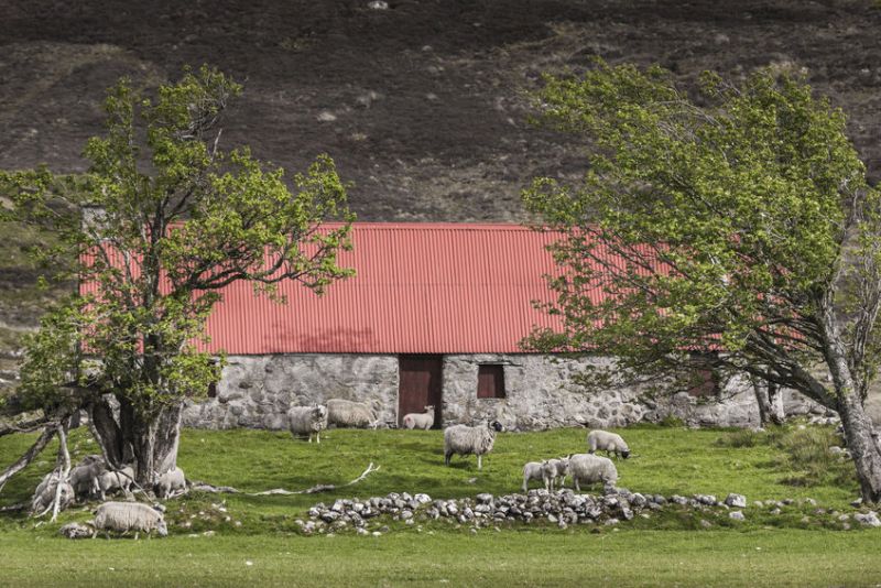 The £1 million grant will enable crofters to upgrade or build new properties