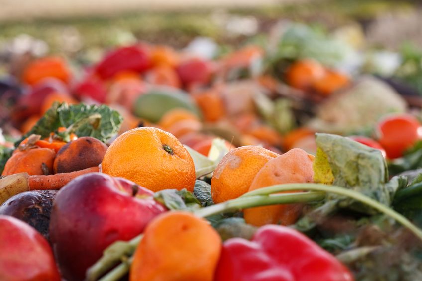 The Scottish Conservatives have launched the Food Producers Fund and blames the SNP for 'spectacularly failing' on recycling
