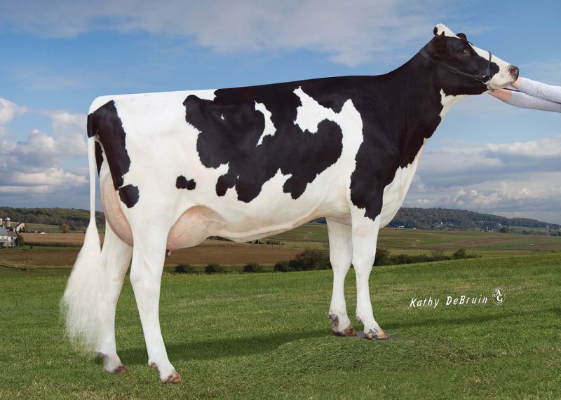The dam of Legacy, the number one genomic young Holstein sire