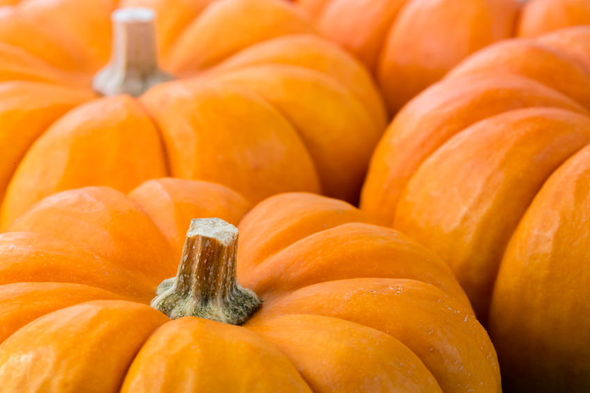The two weeks before Halloween this year saw a £90.5m increase in spend, in particular on pumpkins
