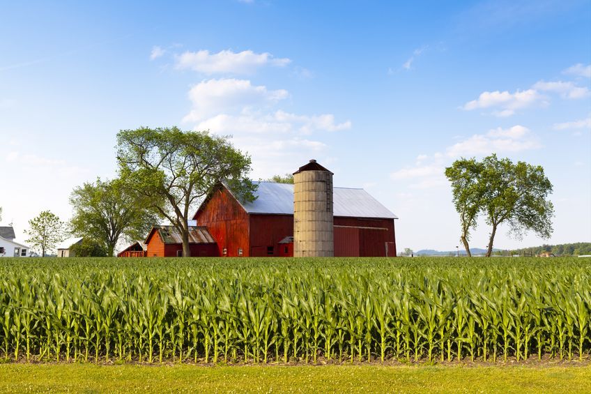 US farm lobby groups, ranging from dairy lobbyists, pig producers and grain exporters, called the EU to ease its stance on agricultural trade