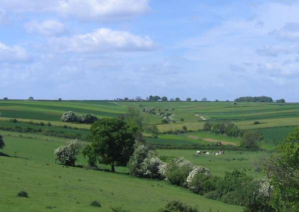 The 1,900 acre estate has been advertised by estate agents at an asking price of £7 million (Photo: Laxton)