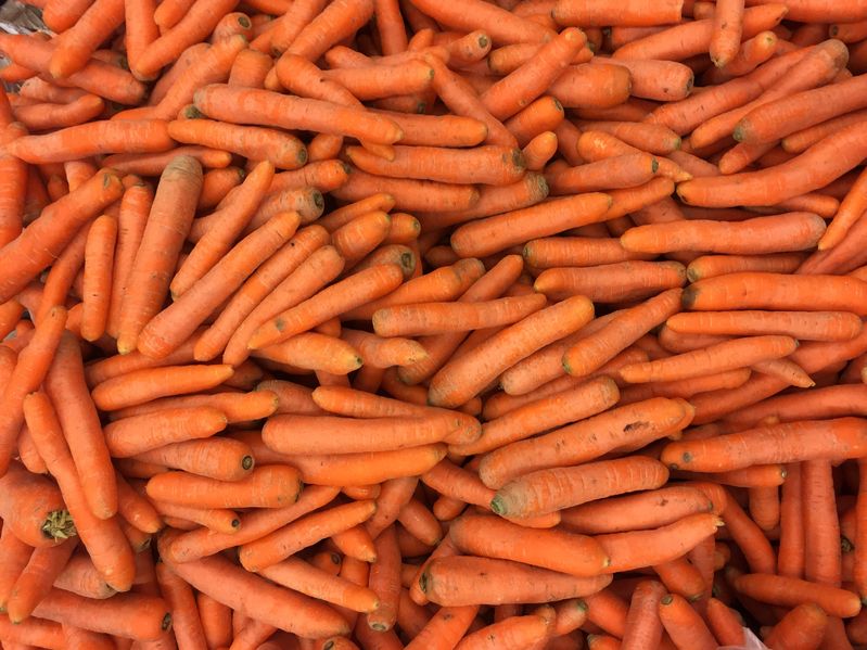 The cold start to the year and then the prolonged heatwave lead to a cut in carrot yields of 30 per cent