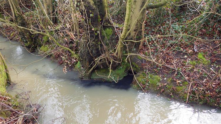 The incident was reported by a member of the public advising that a stream close to Greystones Farm was running black