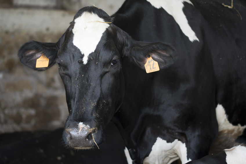 Between Dec 30-31, cattle semen was stolen from a farm in Bell Lane, Cossington, Somerset