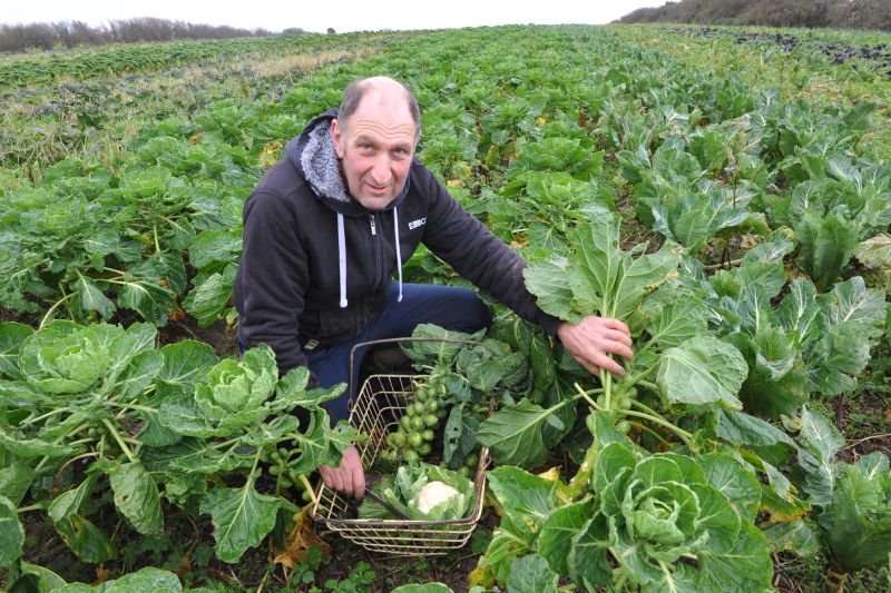 A new, younger business partner is needed for Peepout Organic Farm