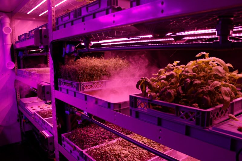 In aeroponics, instead of using soil, plant roots are suspended in a nutrient-dense mist