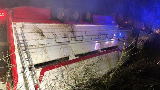 Firefighters stabilised the vehicle and used hydraulic cutting equipment to release 39 bulls (Photo: Northern Ireland Fire Service)