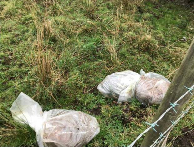 Dead calves were dumped on private land in Stoneyford (Photo: SDLP)