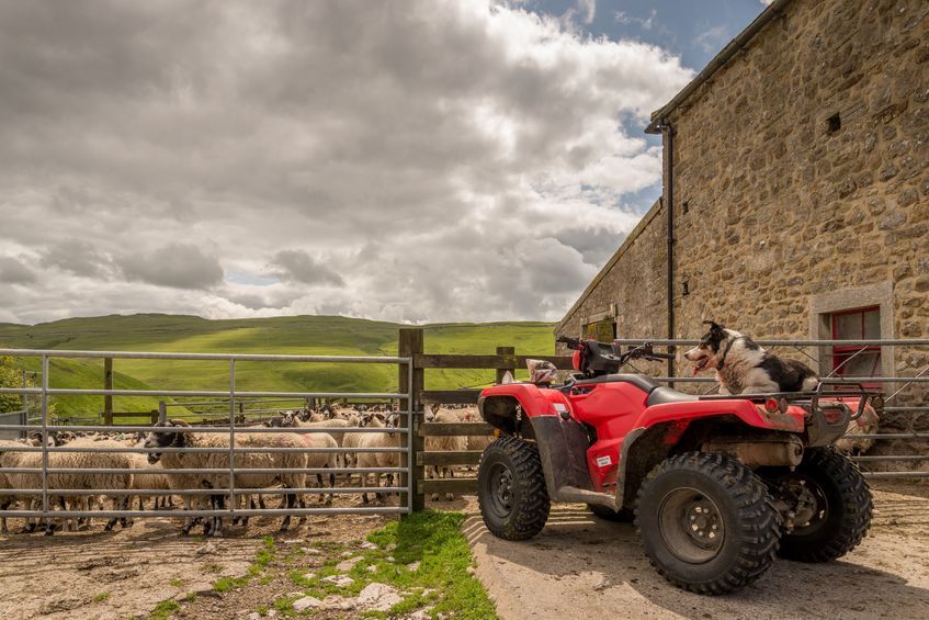 A farming partnership has been fined after a child was injured by an ATV on a Devon farm in 2017