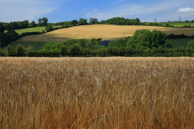 The NFU is concerned that this merger could add 'extra financial pressure' on arable businesses