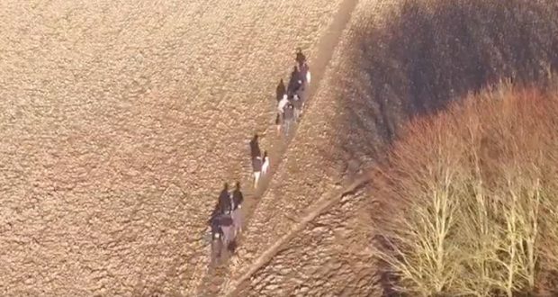 A police drone captured footage of the suspects on Lincolnshire farmland (Photo: Lincs Police Drone/Twitter)