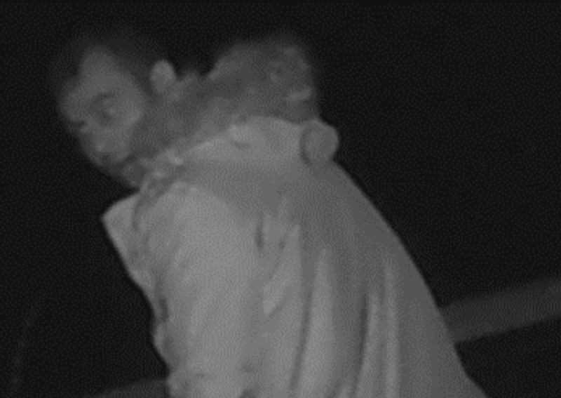 Two people are thought to be involved in the offences, one of which is shown in this CCTV image