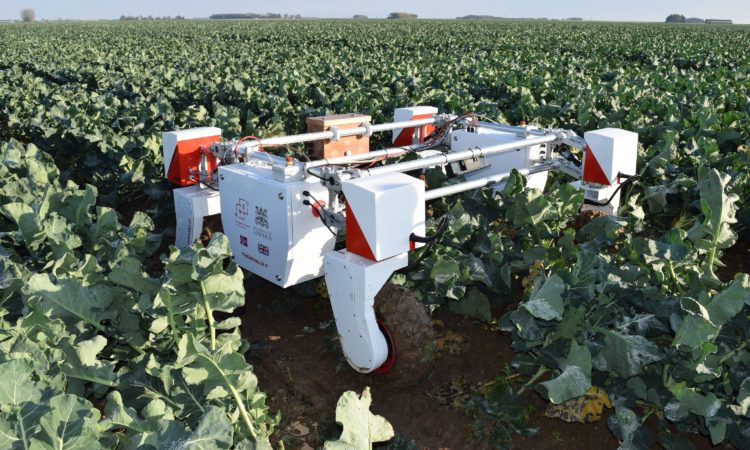 The new centre has been awarded £6.6m, which will see a massive influx of high-level robotics expertise at a vital time for the agri-food industry