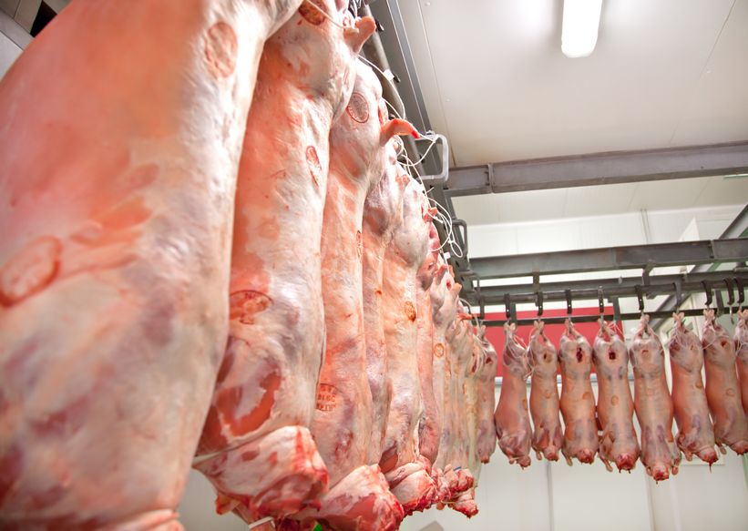 Latest figures show over 120 million animals were slaughtered without being stunned first