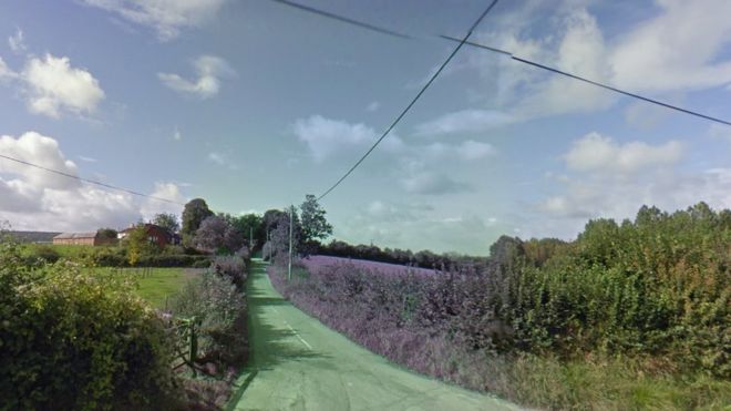 Hanford Farm, near Blandford, Dorset (Photo: Google)