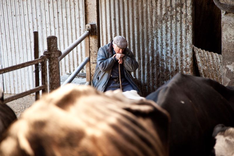 The overall illness rate for agricultural workers is 46% higher than the industry average (Photo: Voisin/Phanie/Shutterstock)