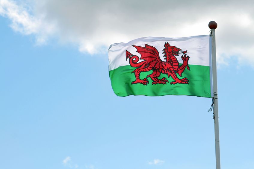Welsh agricultural exports 'must prioritise the Welsh dragon' once the UK leaves the EU, an industry leader has urged