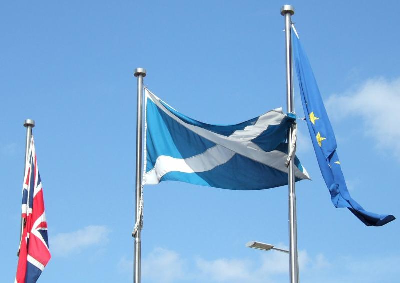 The Scottish government said failure to compensate farmers in the event of 'no deal' would increase the risk of businesses going under