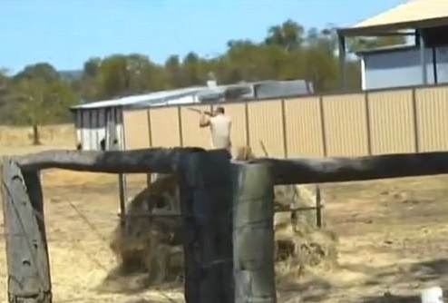 Western Australian farmer Jason Parravacini fired shots in the distance after activists refused to leave his farm (Photo: Seven News)