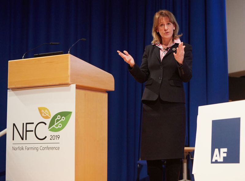 Minette Batters – President of the NFU – warned that a no-deal Brexit would undermine British production to a catastrophic level