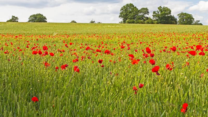 Funding for environmental benefits and public goods will be at the front of future policy once the UK leaves the EU