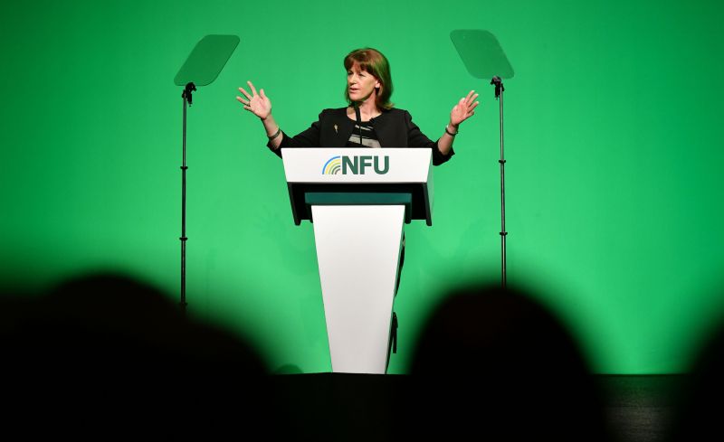 NFU President, Minette Batters said that leaving the EU without a deal would be a 'catastrophe for British farming'
