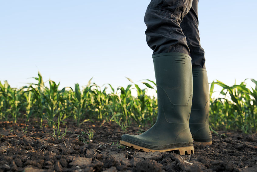 Just 325 of the 31,360 apprenticeships in 2017/2018 were in agriculture