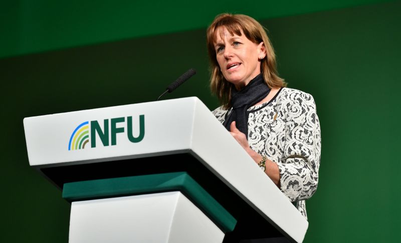 Delaying Article 50 and the associated uncertainty is not going to help farmers, the NFU president has warned