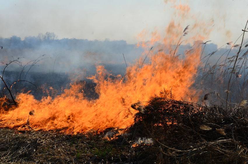Farmers have been urged to reduce the risk of fire amid the UK's unusual dry and warm spell