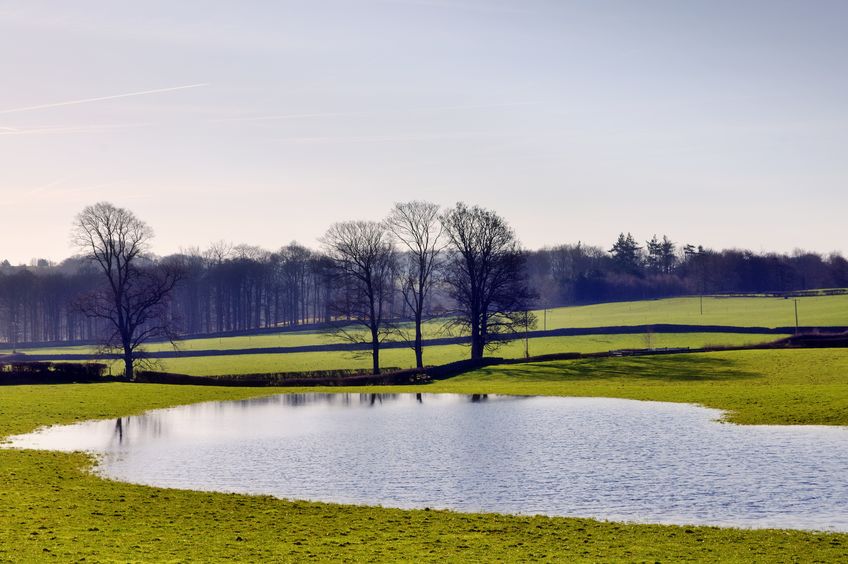 The NFU has called on the government to take water-related issues 'seriously', such as flooding and the supply of clean water