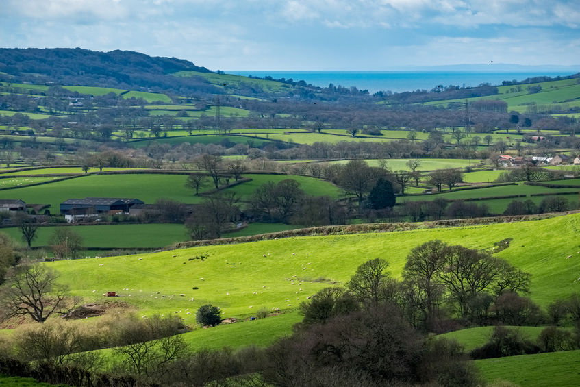 Even the most ordinary piece of land could become poetic by use of a name like Ding Dong, meaning 'land for a bellringer'