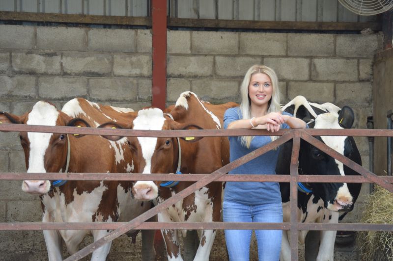 The showmanship classes will be judged by Isobel Jones who works for Holstein International