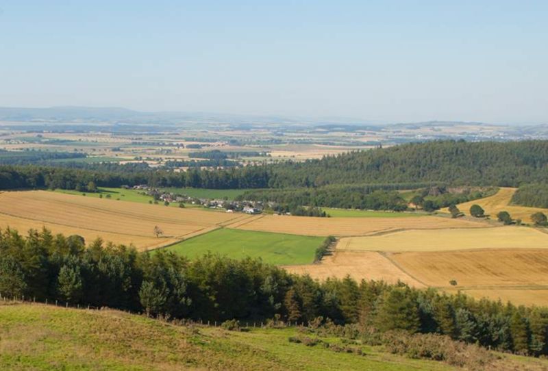 The farm comprises 34 fields and produces potatoes for its own on-site made vodka (Photo: Ogilvy Spirits)