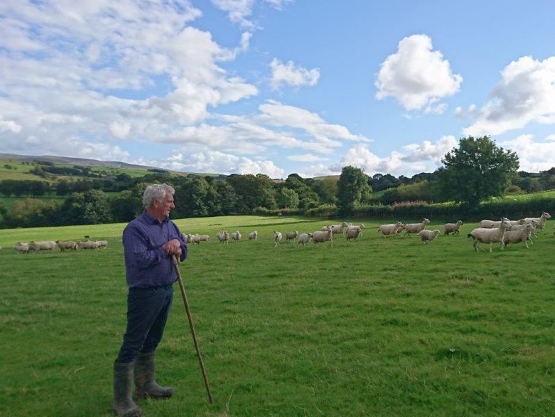 Farmers are seeking further assurance on protecting vulnerable sectors post-Brexit following tariff cut reports