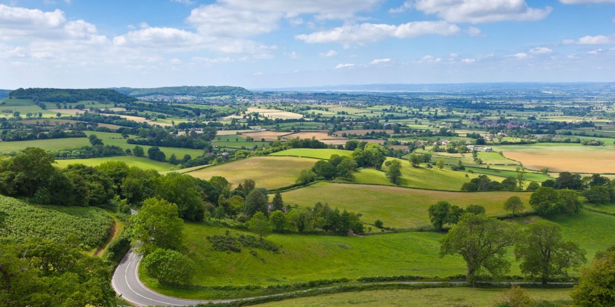 The scheme is only aimed at the restoration of hedges and stone walls