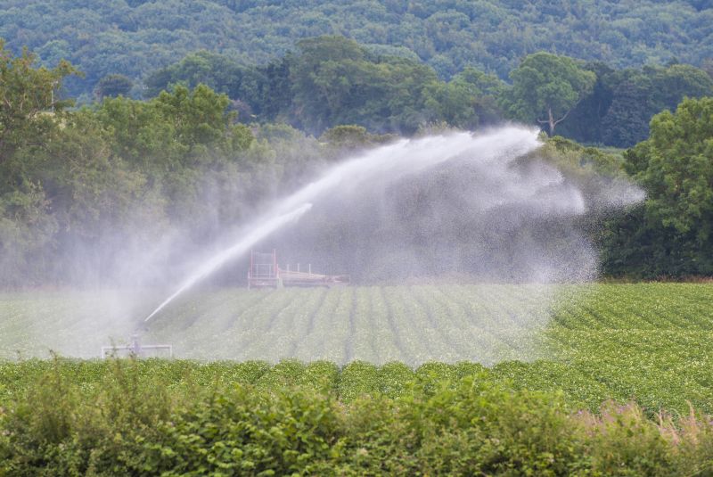 The NFU said it is 'strongly opposed' to Defra proposals for significant regulatory changes (Photo: FLPA/John Eveson/Shutterstock)