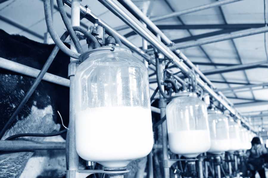 The increased volume of milk on the market and reduced price of cream has forced the company to react to market pressures