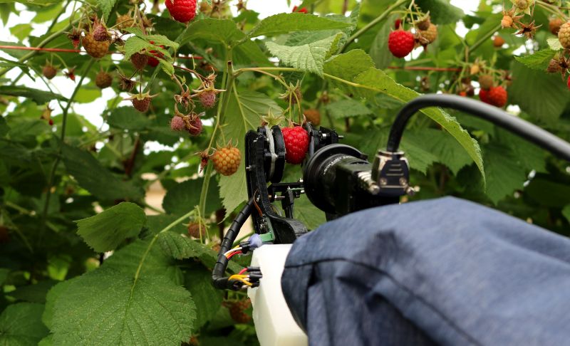 A strawberry harvester at Plymouth University highlights the sector's move towards robotics