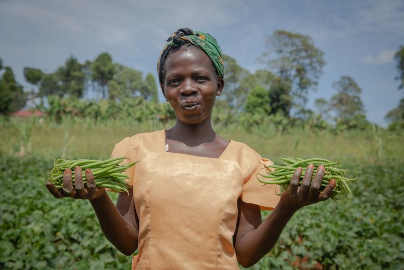 Female farmers suffer the most as they provide the bulk of the low paid, unskilled labour