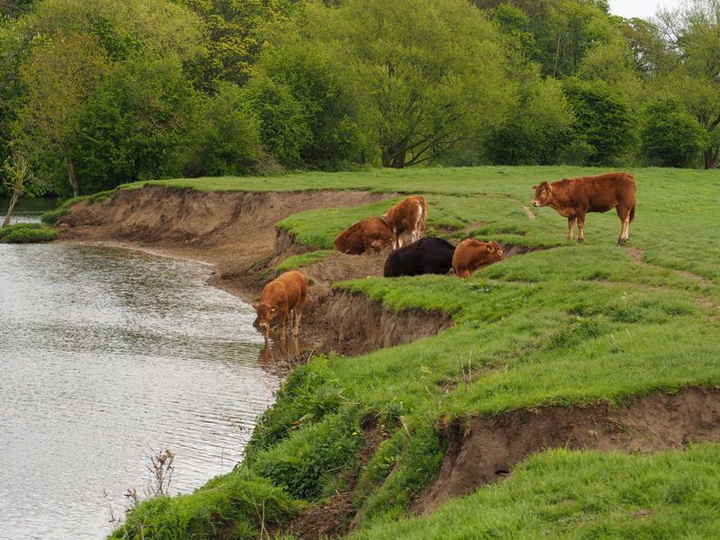 Some looked at ways to prevent cattle from drinking directly from the river to avoid poaching and river bank damage