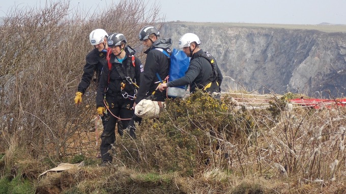 (Photo: RSPCA Cymru)