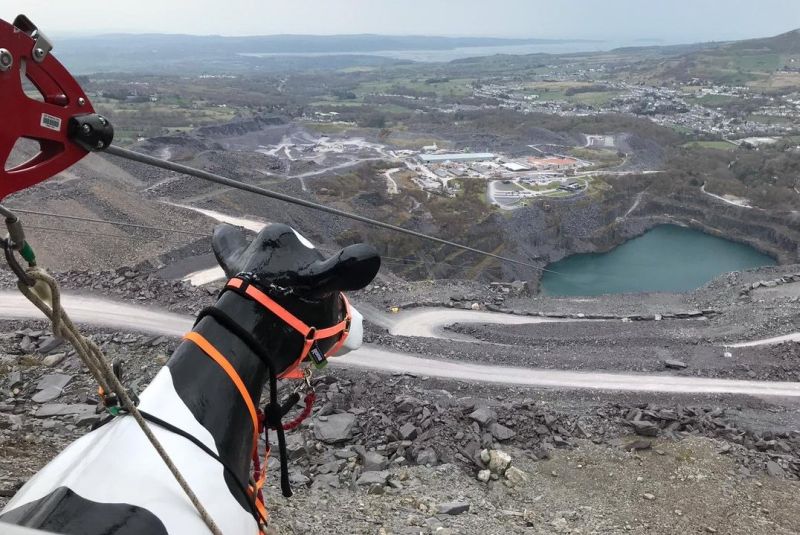 Bessie was quite a sight when she flew down the UK’s fastest zip line