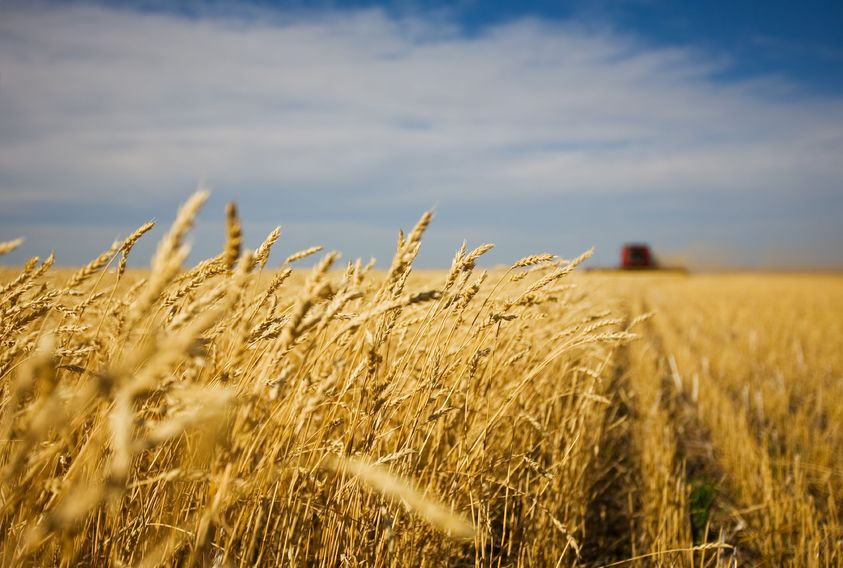 Farmers have been urged to make effective decisions based on data available as status quo is 'unsustainable'