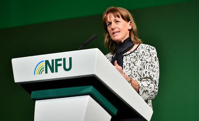 NFU President Minette Batters and other UK farming union presidents have written a letter to EU farm groups