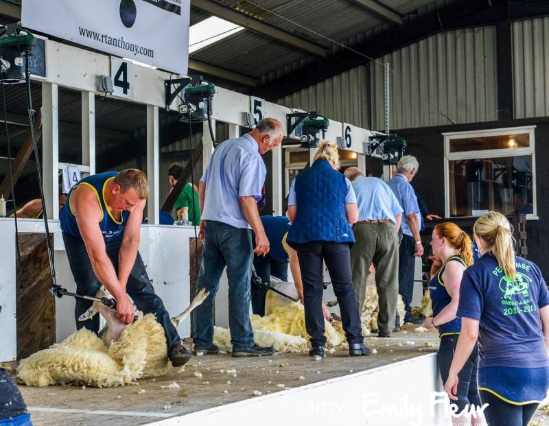 Competitive shearing became a huge part of Adam Berry's (L) life after securing 8 English National Circuit wins and 5 English National titles