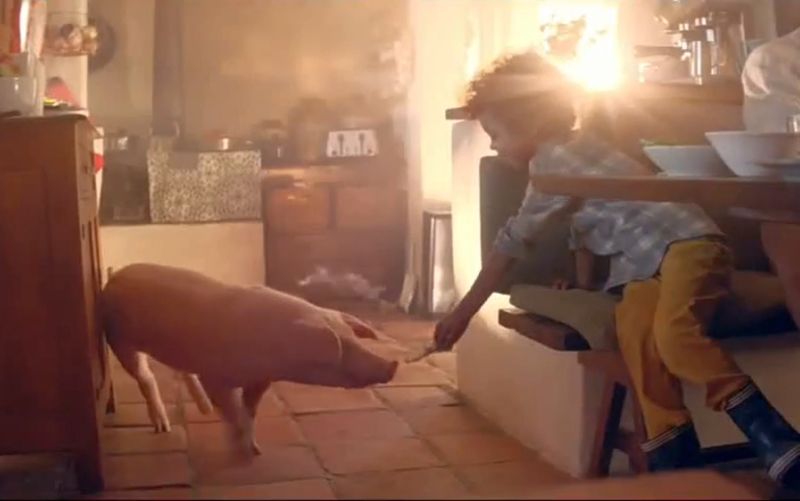 The pig sector has concerns that Amazon's advert encourages 'swill feeding', which has been banned in the UK since 2001