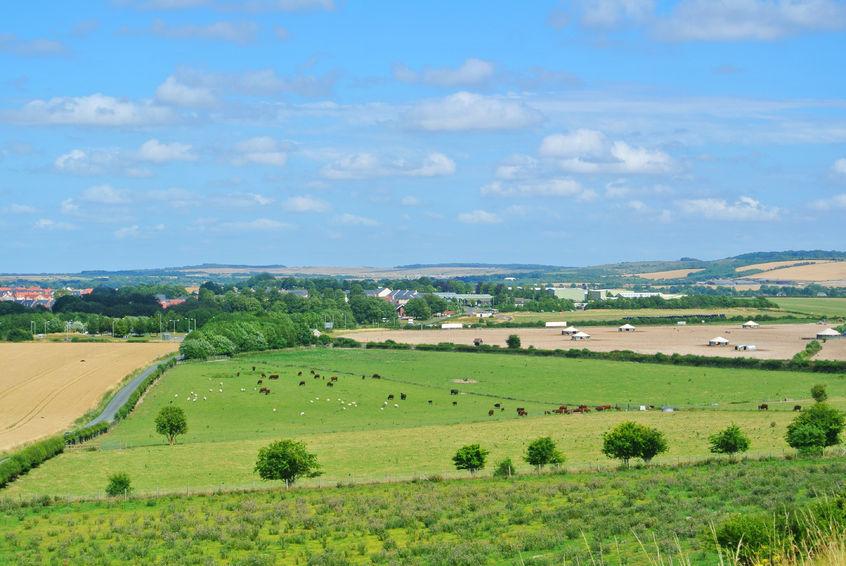 The findings suggest that about 25,000 landowners have control of half of the country's land